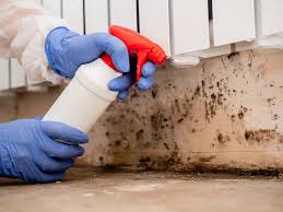 Best Forensic Mold Investigation  in Shannondale, WV